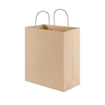 Brown Bag Twisted Handle (22X27X11)